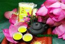 TNHH TM&XNK Minh Cường