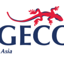 GECO ASIA PTE LTD